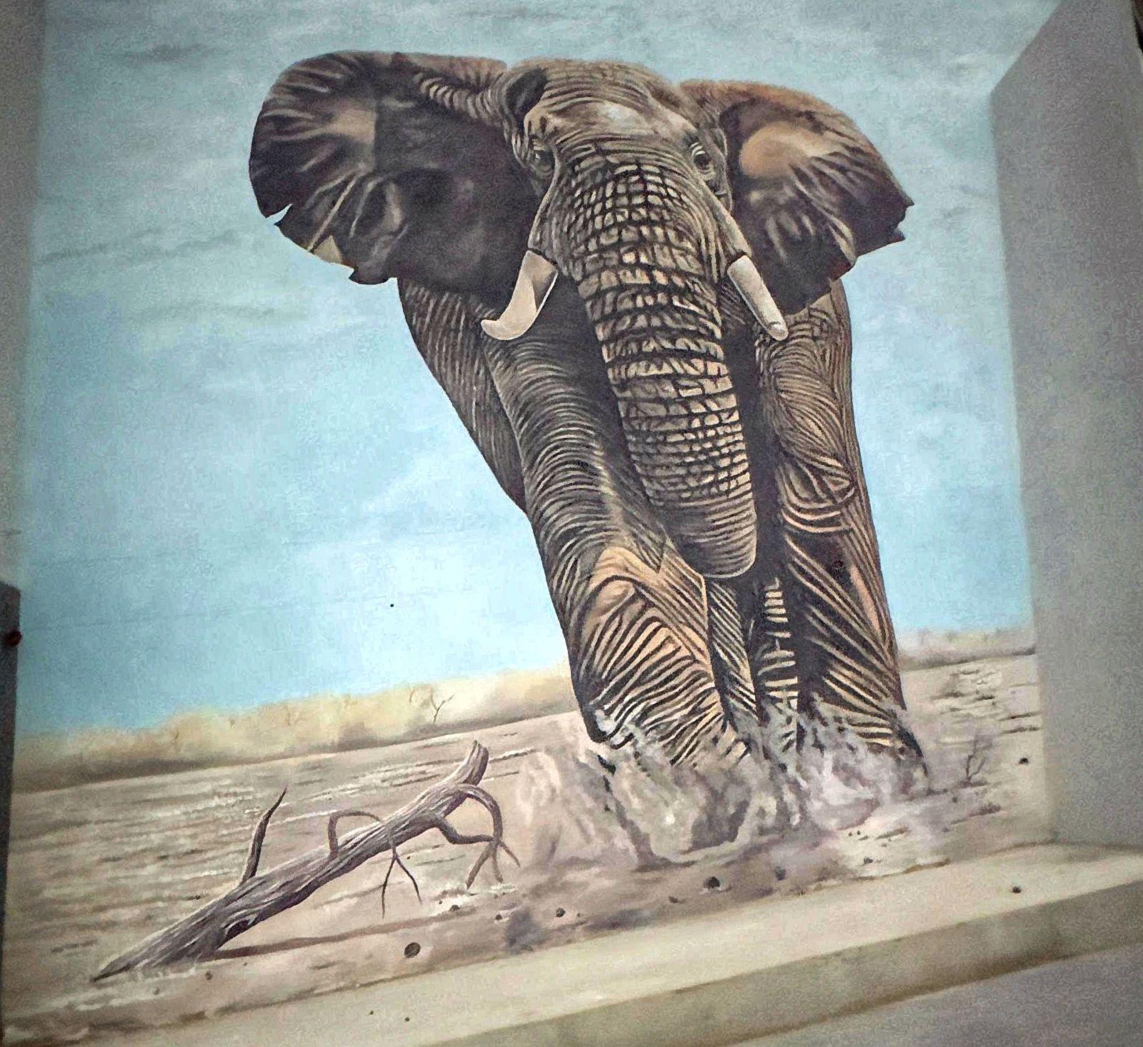 Front-facing elephant walking through dust beside a fallen branch.