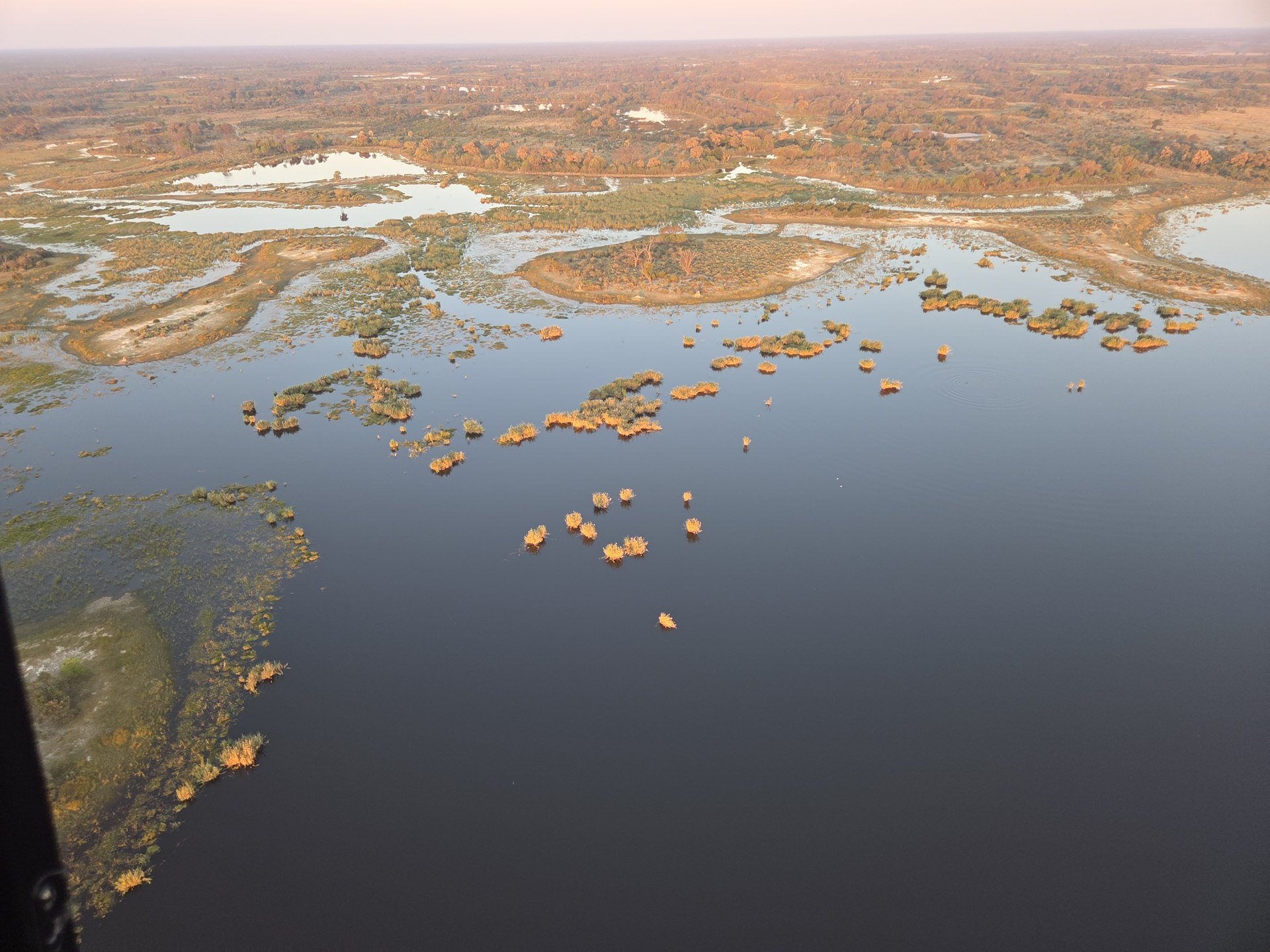 Wetland channels and islands in warm light; strong texture and broad landscape.