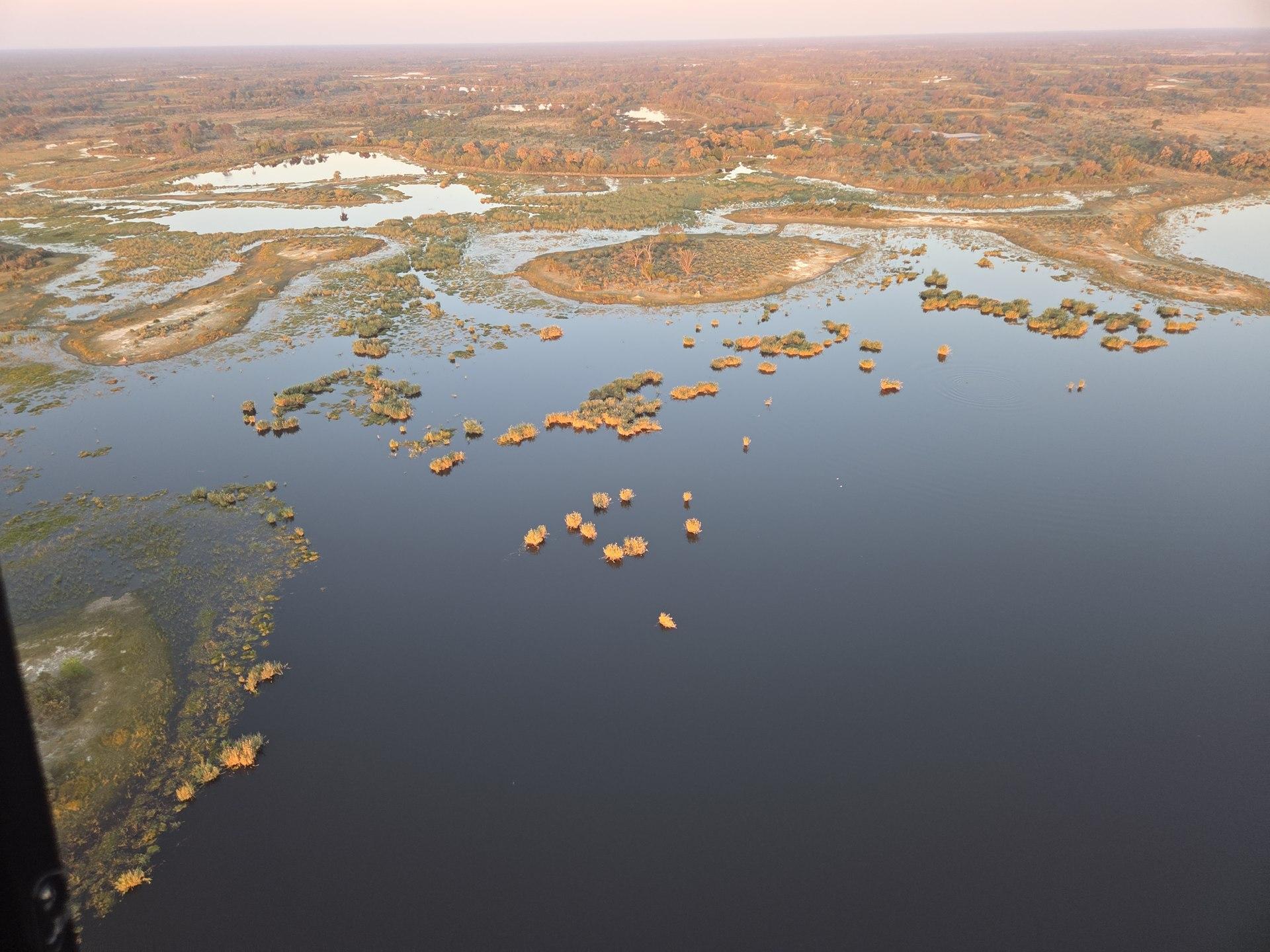 Wetland channels and islands in warm light; strong texture and broad landscape.